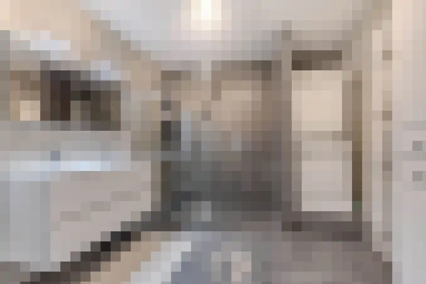 Merelstraat 3 E Wolvega thumbnail 31