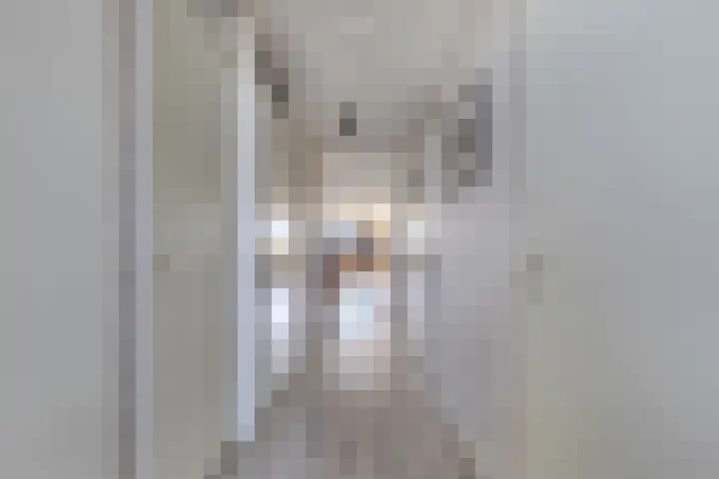 Merelstraat 3 E Wolvega thumbnail 7