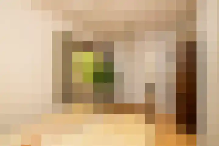 Merelstraat 3 Haastrecht thumbnail 22