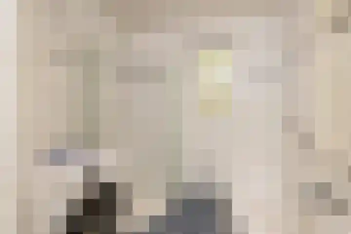 Merelstraat 3 Haastrecht thumbnail 28