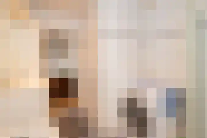 Merelstraat 3 Haastrecht thumbnail 32
