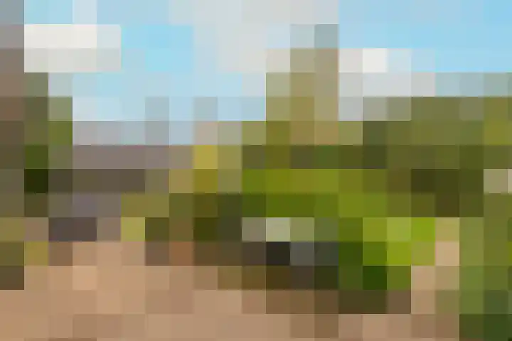 Merelstraat 3 Haastrecht thumbnail 33