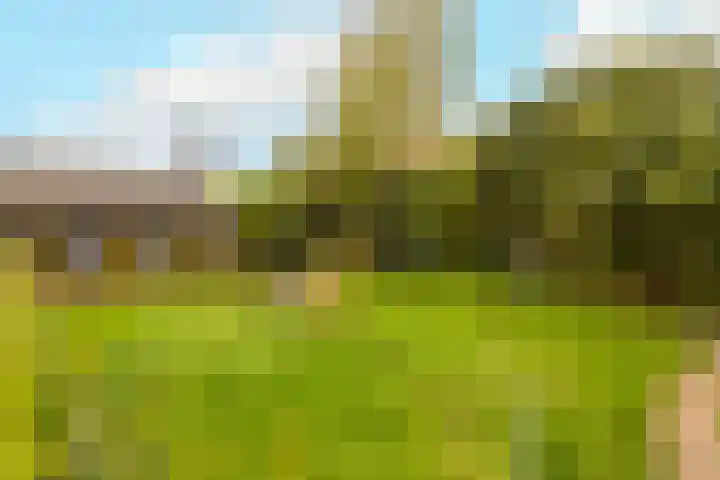 Merelstraat 3 Haastrecht thumbnail 34