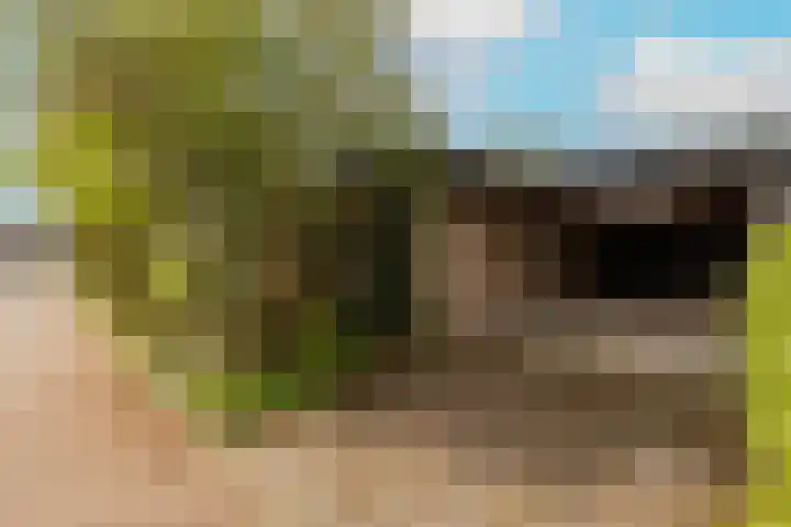 Merelstraat 3 Haastrecht thumbnail 42
