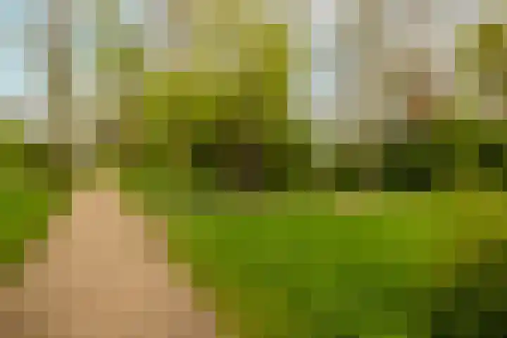 Merelstraat 3 Haastrecht thumbnail 43