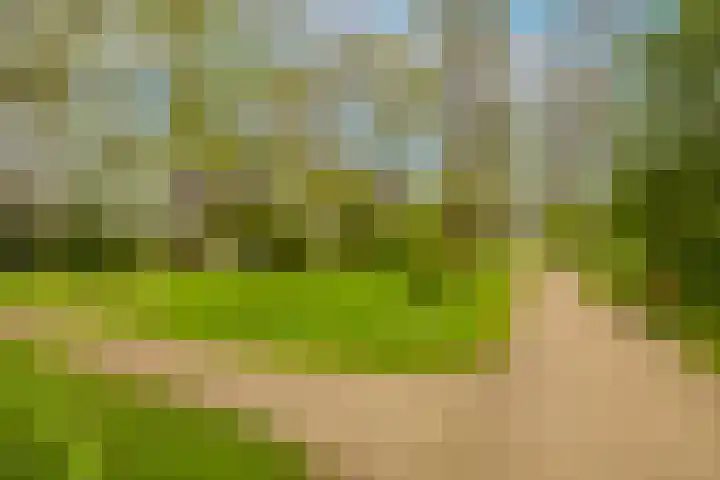 Merelstraat 3 Haastrecht thumbnail 6
