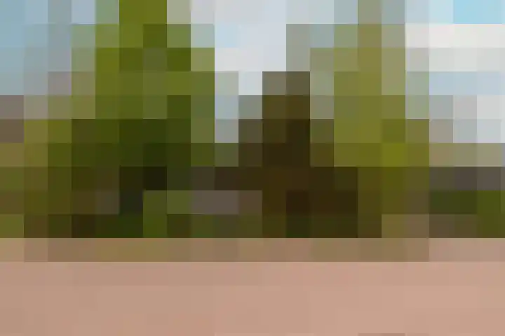 Merelstraat 3 Haastrecht thumbnail 7
