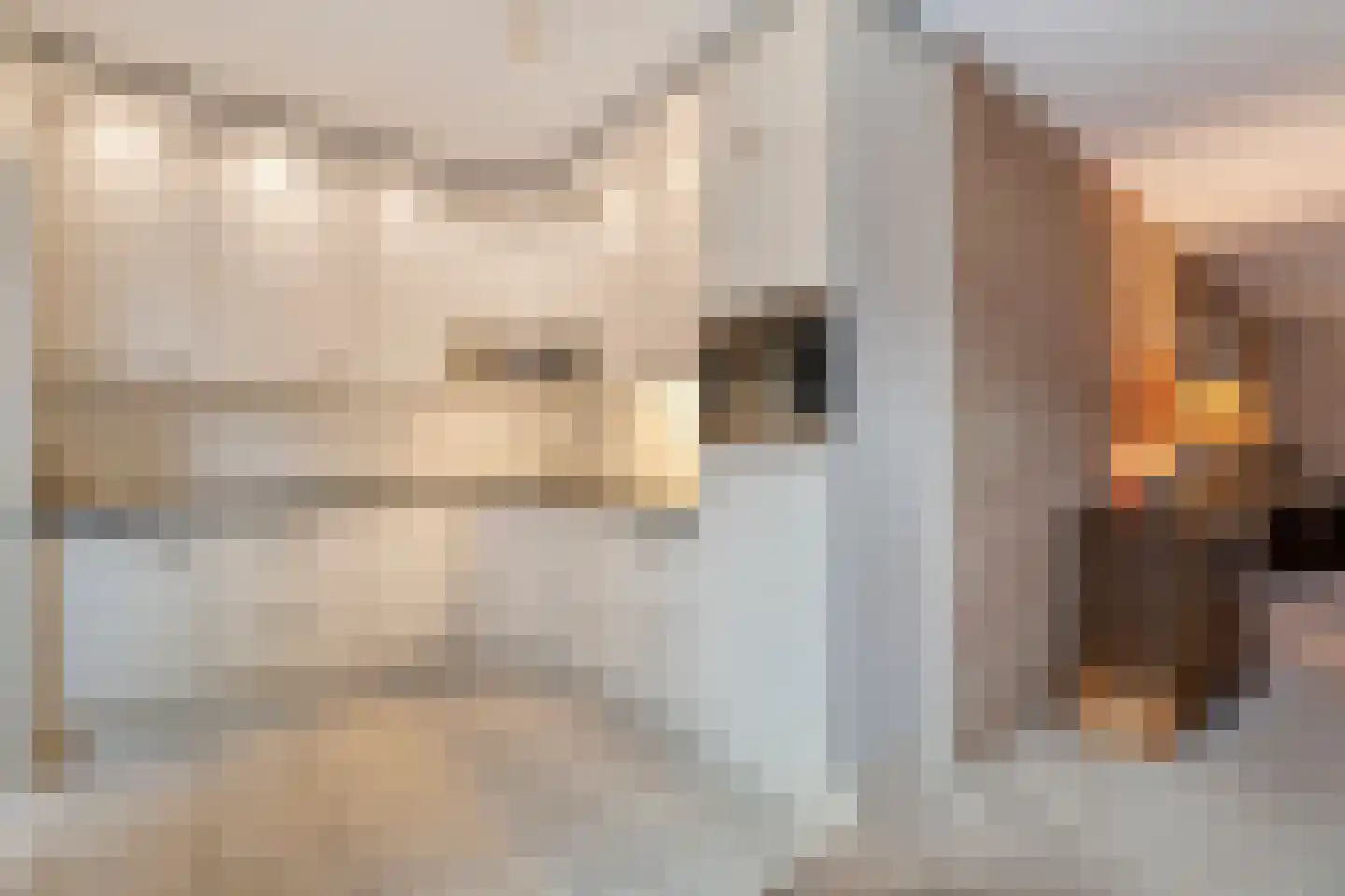 Merelstraat 3 Nijeveen thumbnail 10