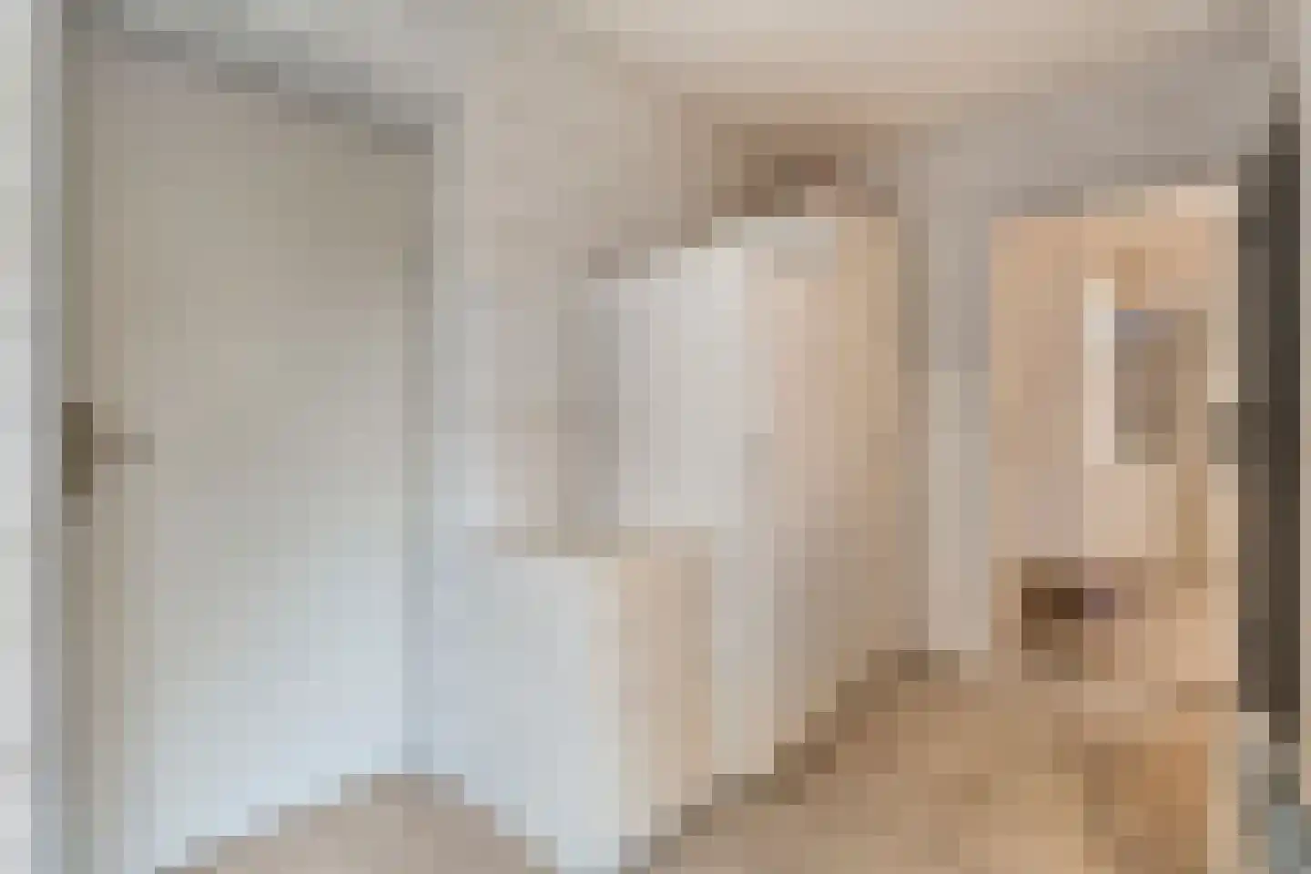 Merelstraat 3 Nijeveen thumbnail 15