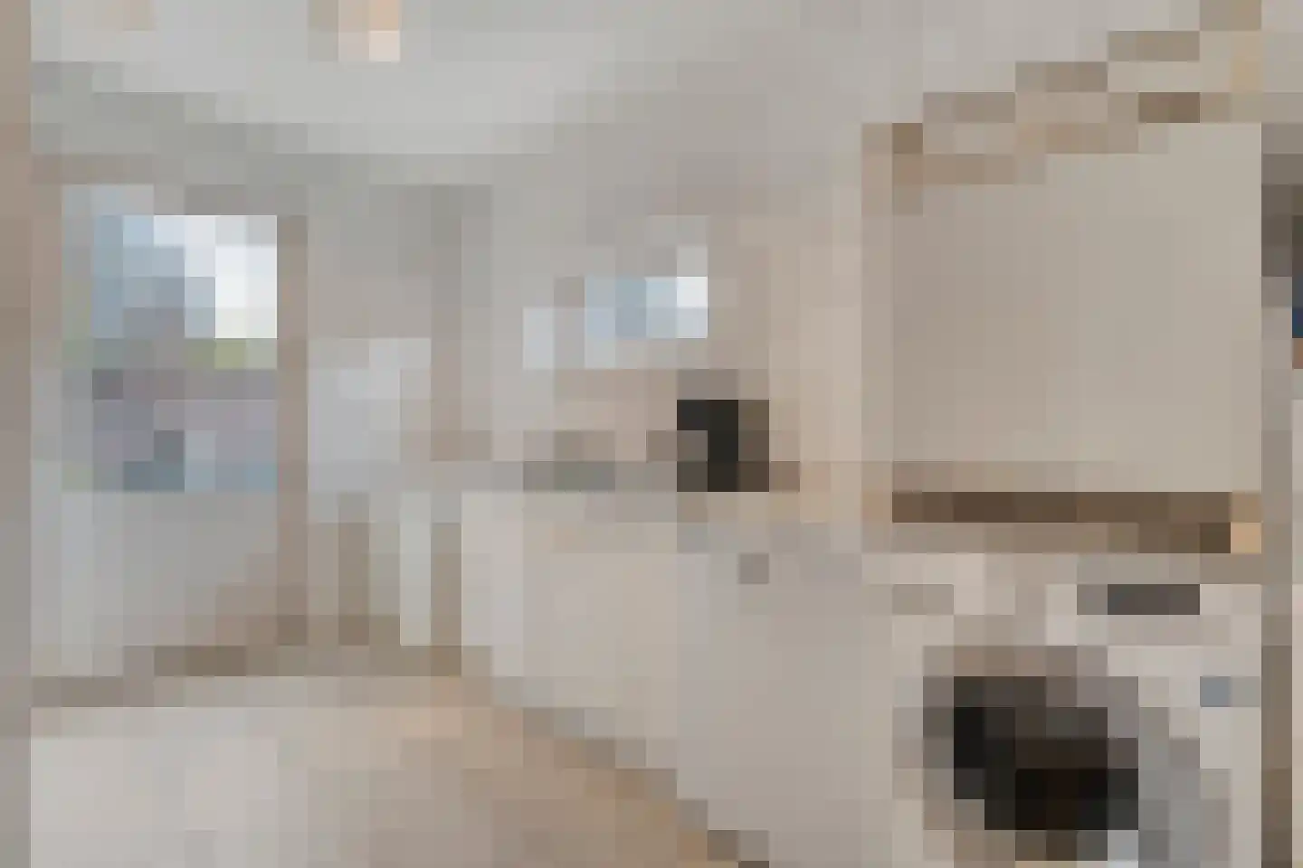 Merelstraat 3 Nijeveen thumbnail 16