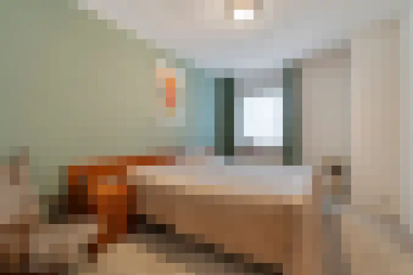 Merelstraat 3 Nijeveen thumbnail 18