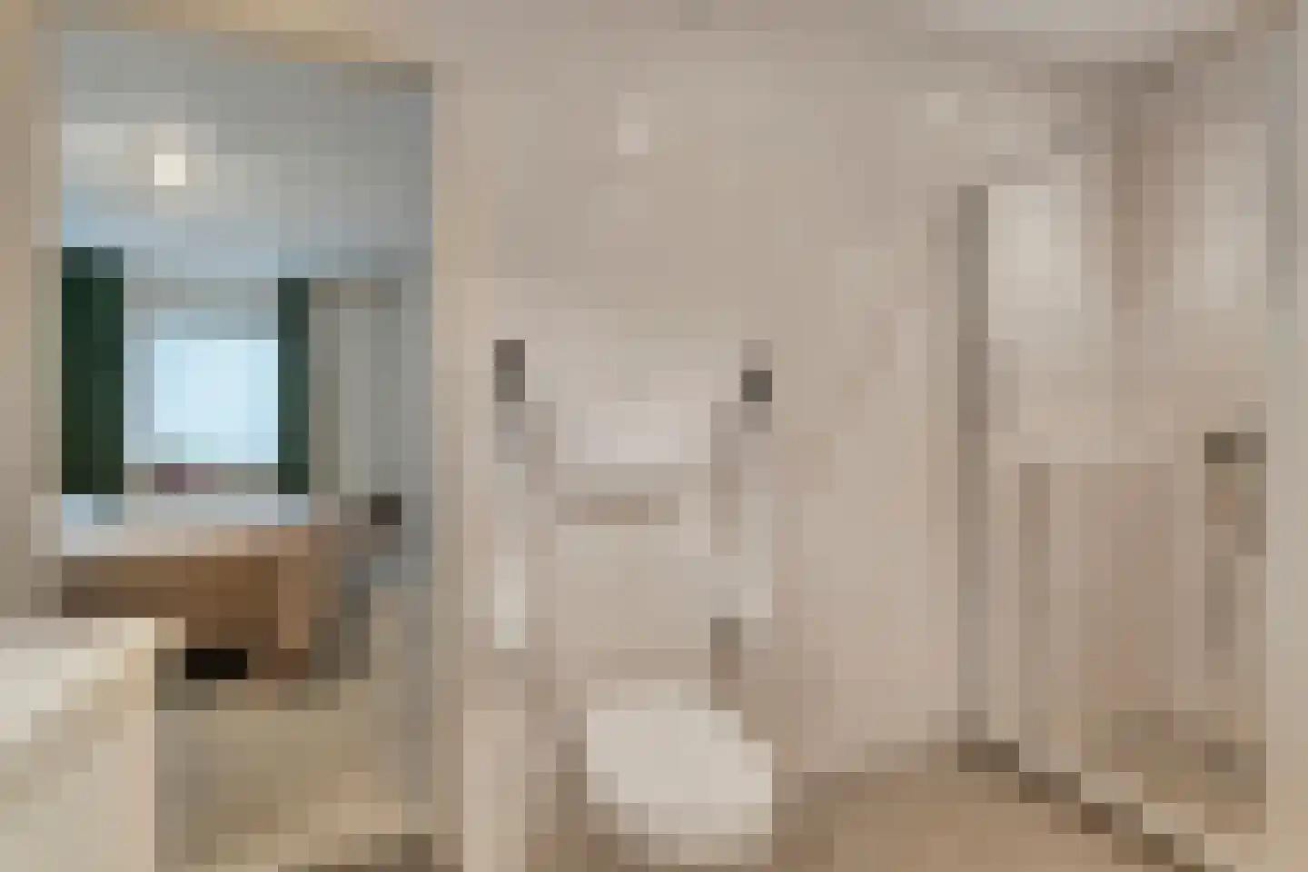 Merelstraat 3 Nijeveen thumbnail 21