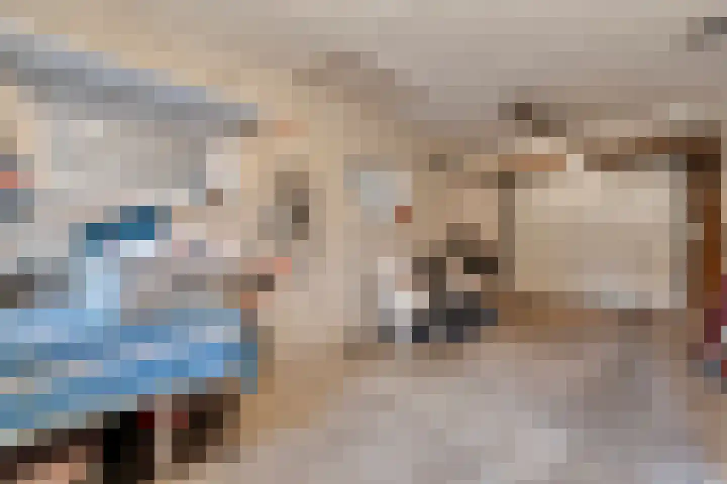 Merelstraat 3 Nijeveen thumbnail 22