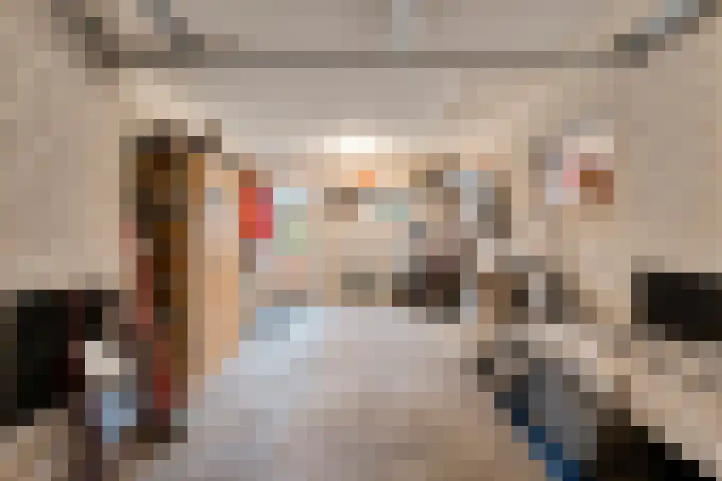 Merelstraat 3 Nijeveen thumbnail 23