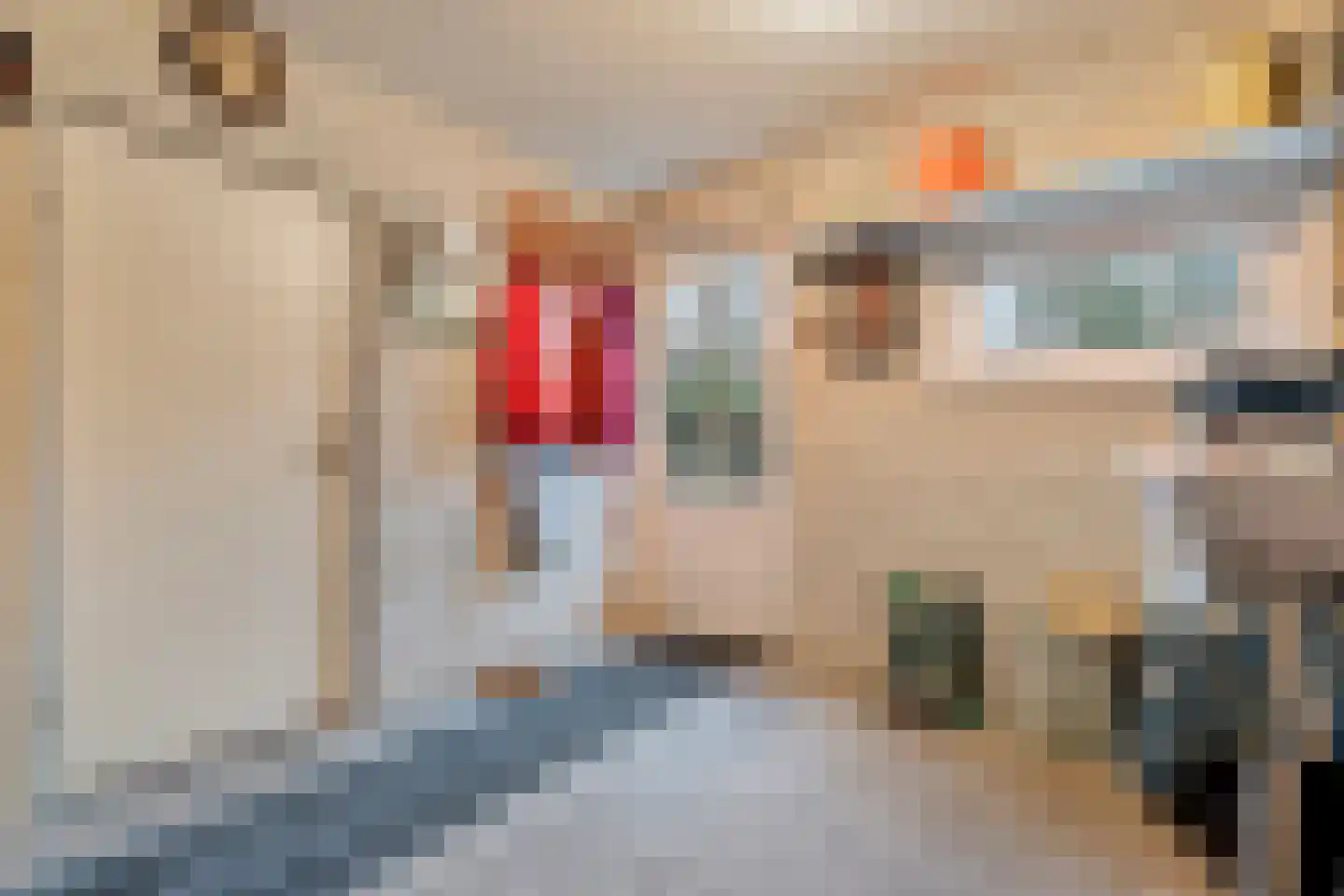 Merelstraat 3 Nijeveen thumbnail 24