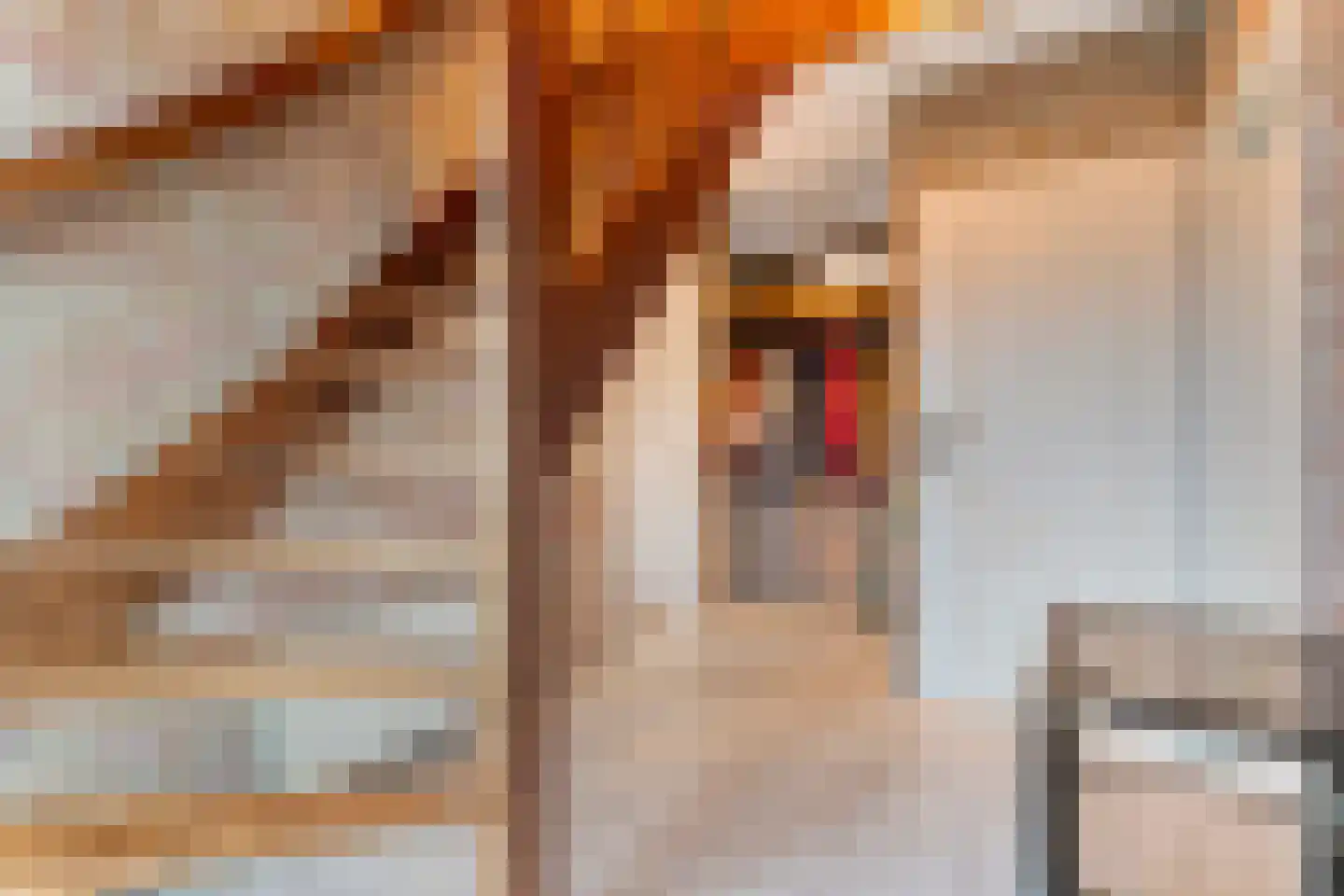 Merelstraat 3 Nijeveen thumbnail 27