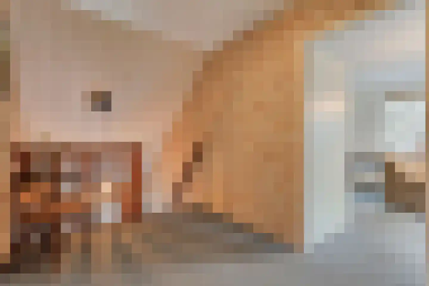 Merelstraat 3 Nijeveen thumbnail 30