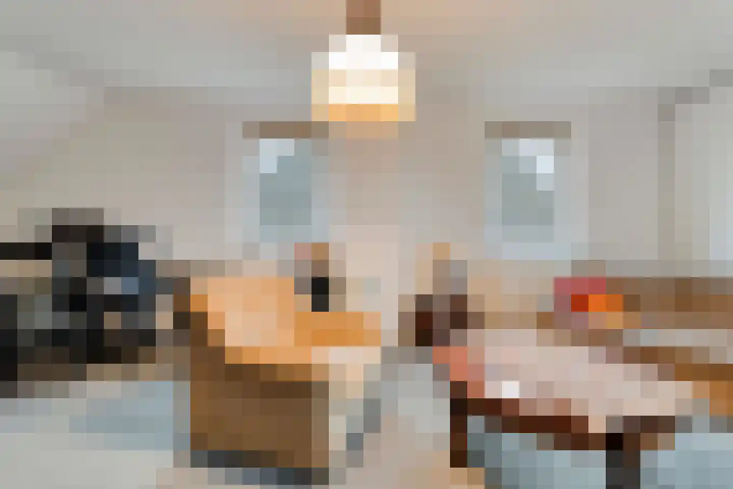 Merelstraat 3 Nijeveen thumbnail 32