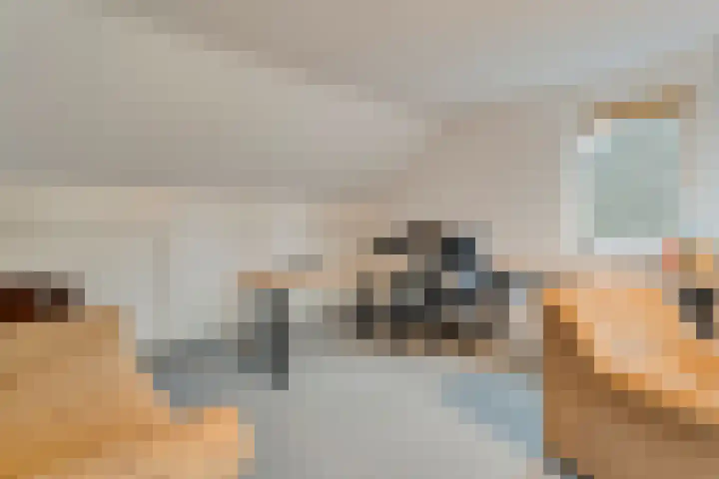 Merelstraat 3 Nijeveen thumbnail 33