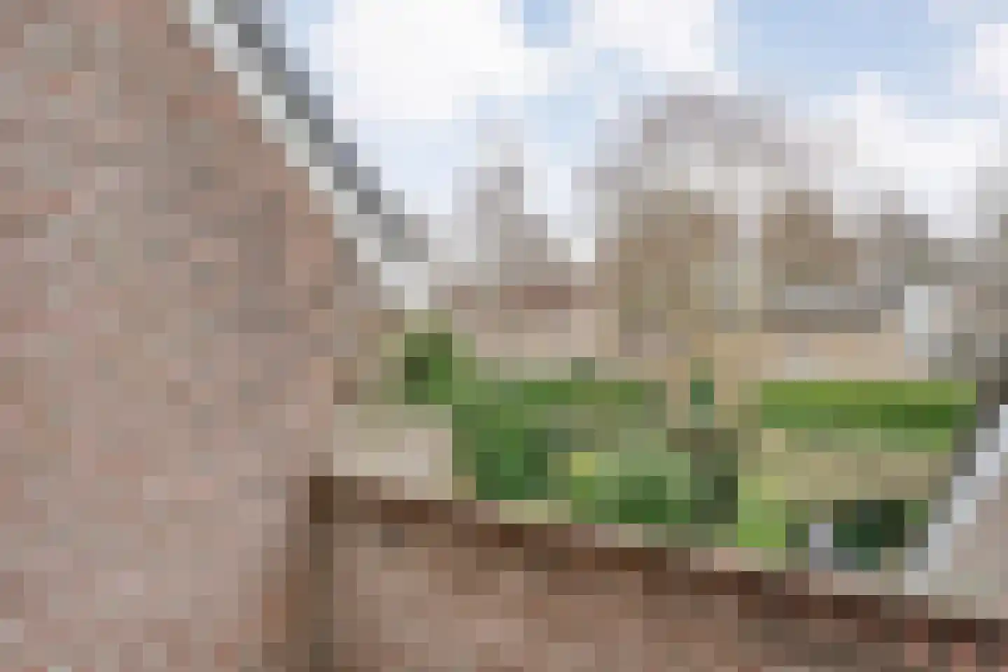 Merelstraat 3 Nijeveen thumbnail 35