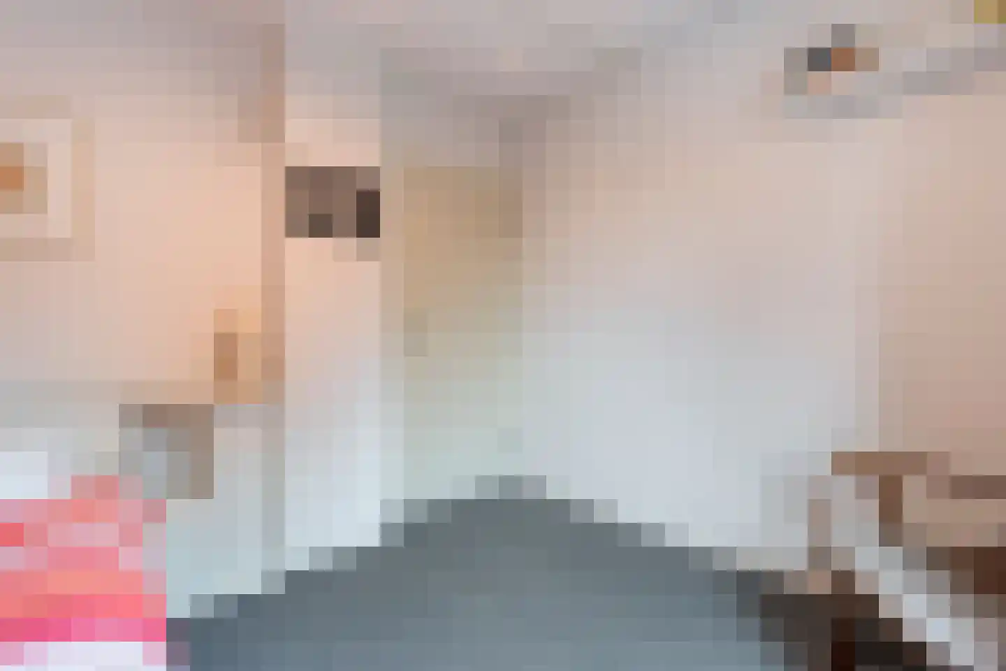 Merelstraat 3 Nijeveen thumbnail 38