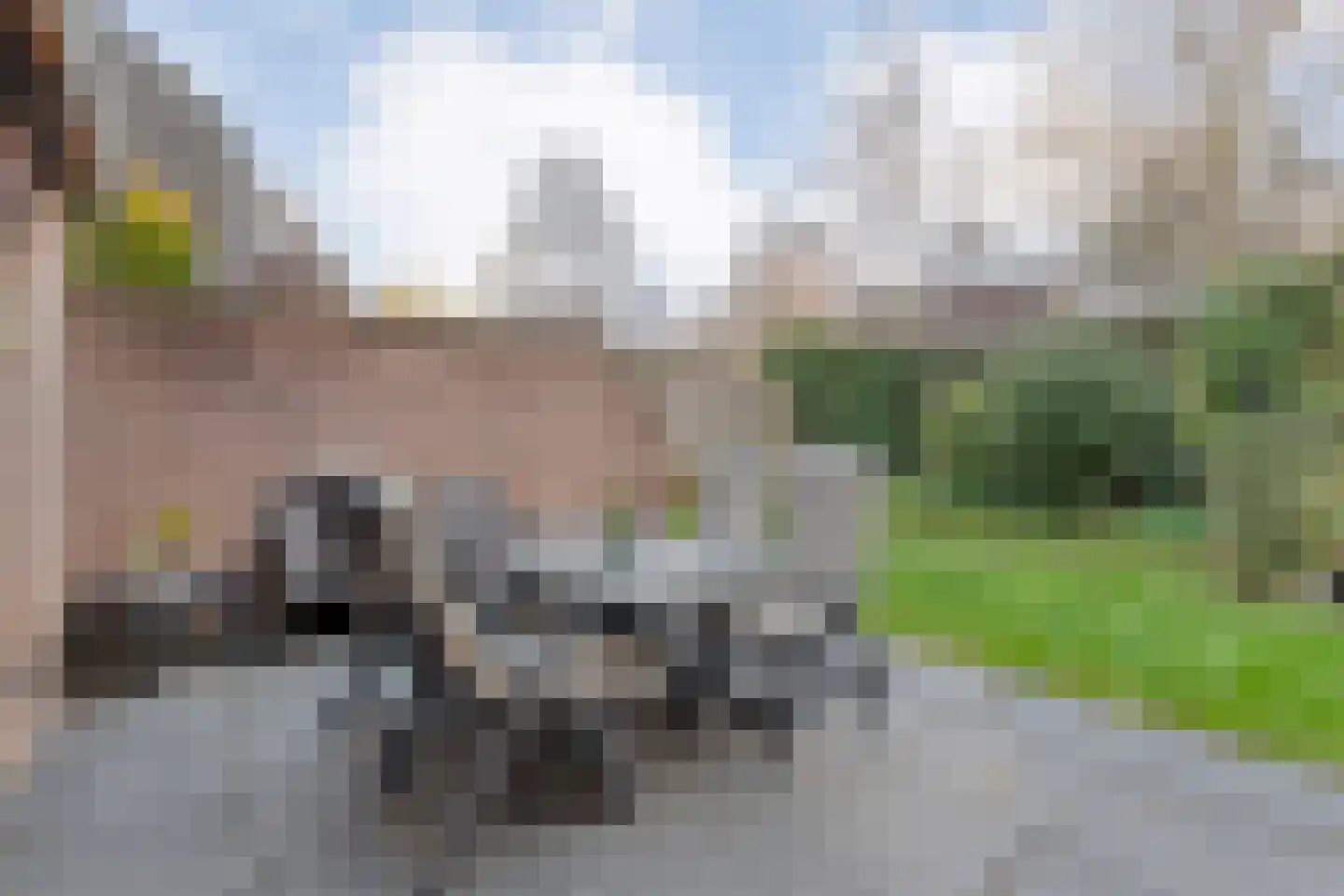 Merelstraat 3 Nijeveen thumbnail 49