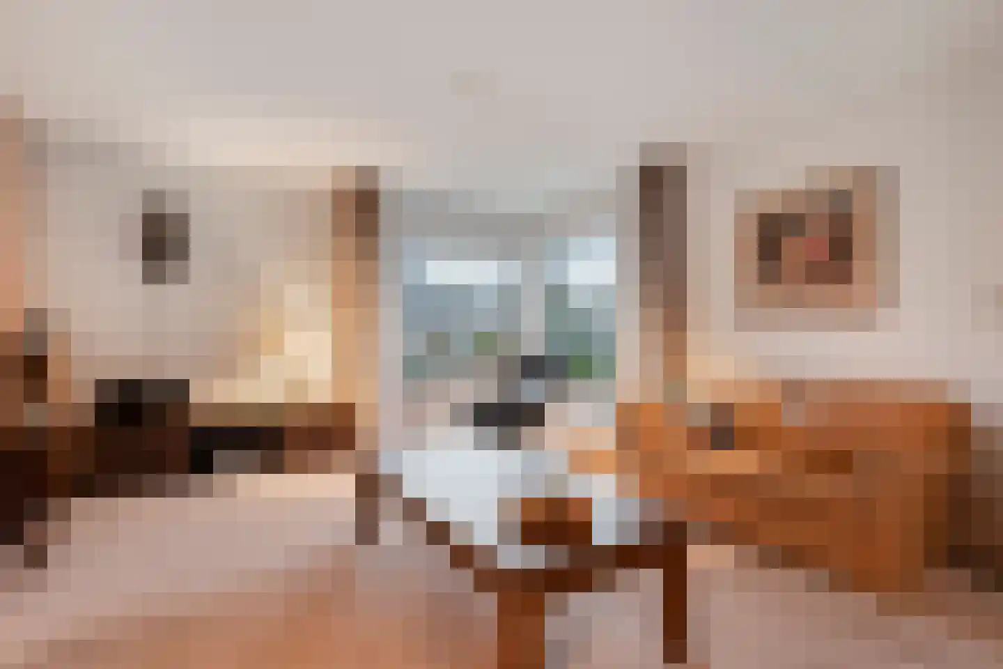Merelstraat 3 Nijeveen thumbnail 5