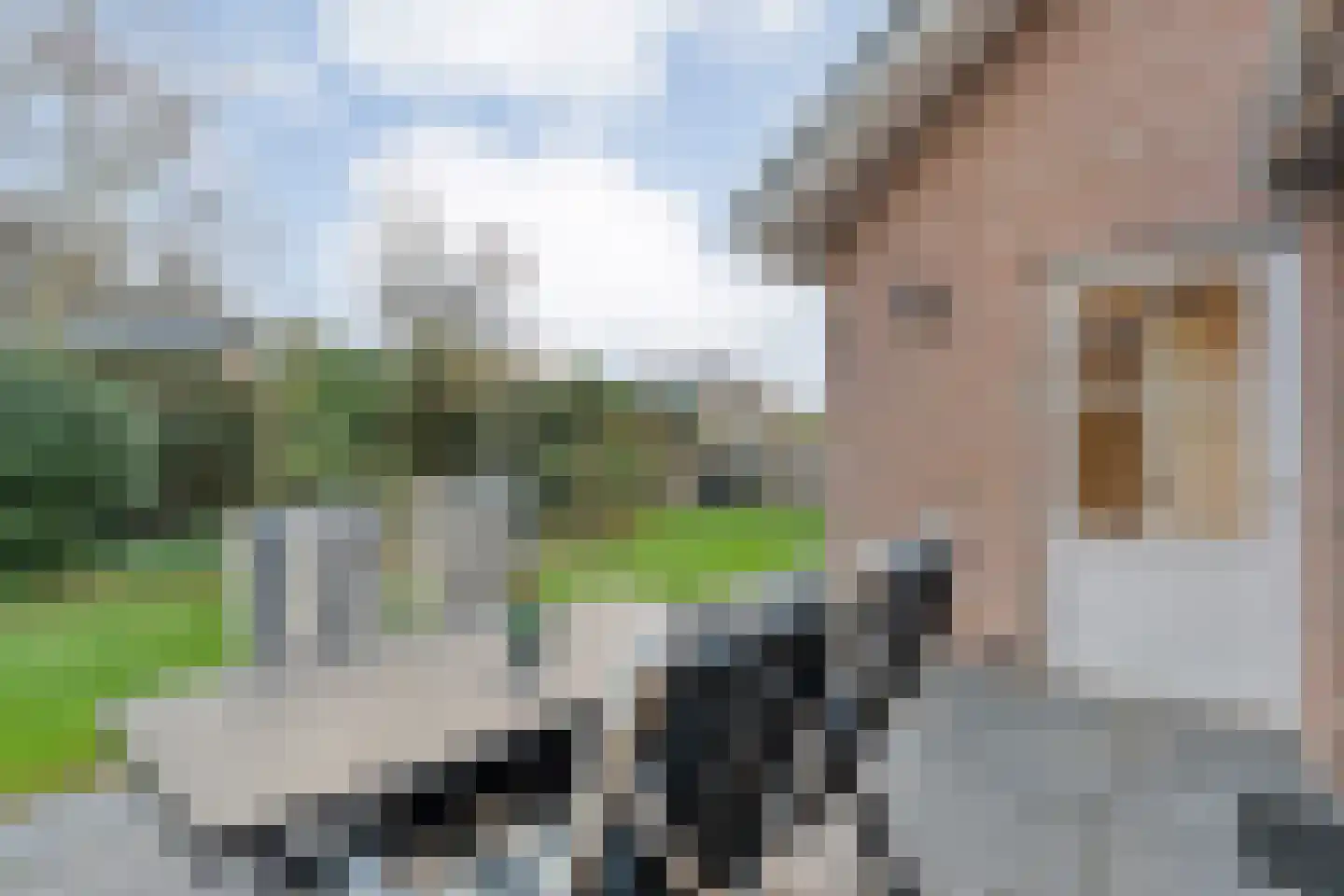 Merelstraat 3 Nijeveen thumbnail 50