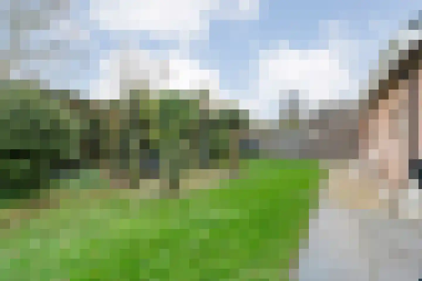 Merelstraat 3 Nijeveen thumbnail 51