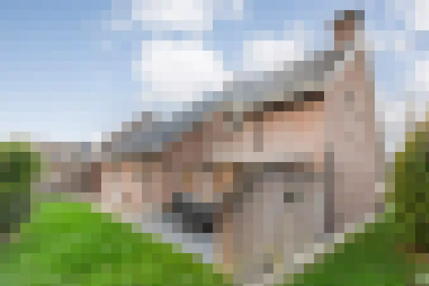 Merelstraat 3 Nijeveen thumbnail 52