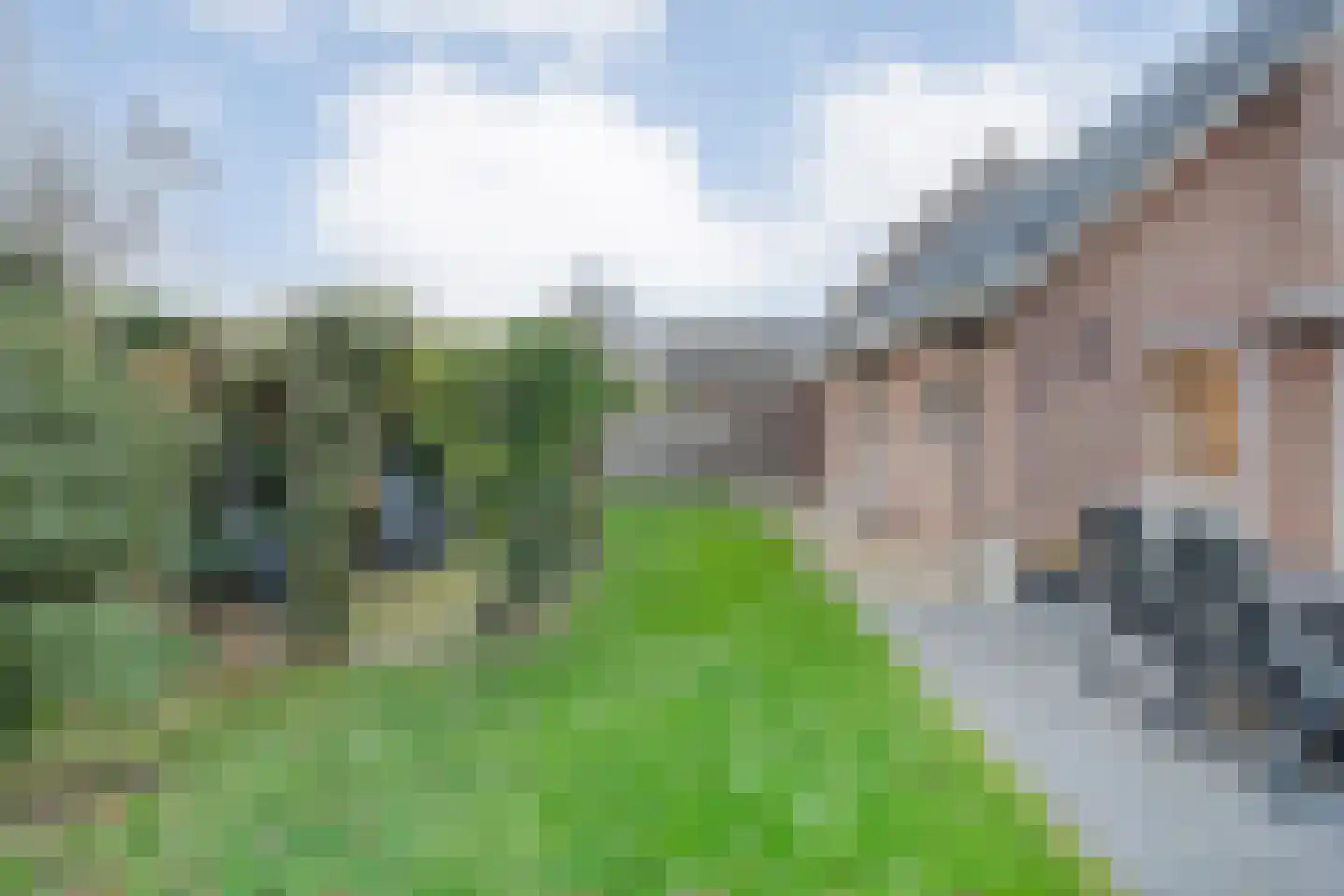 Merelstraat 3 Nijeveen thumbnail 53