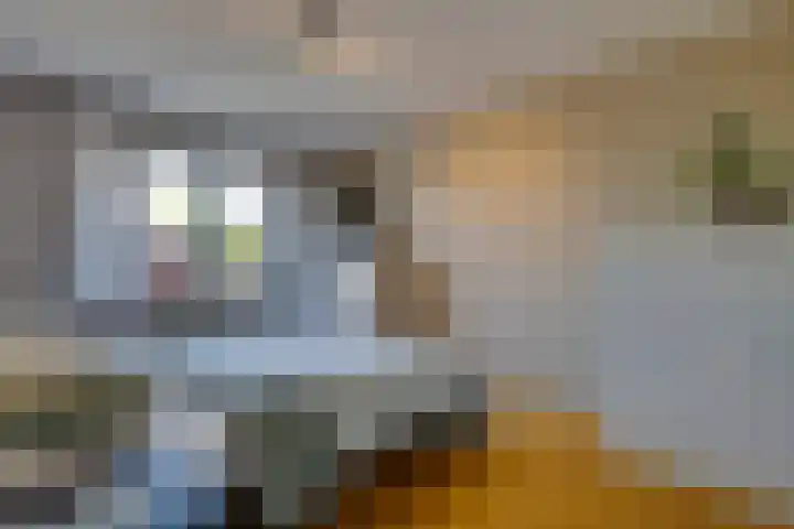 Merelstraat 3 Spaubeek thumbnail 23
