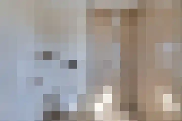 Merelstraat 3 Spaubeek thumbnail 31