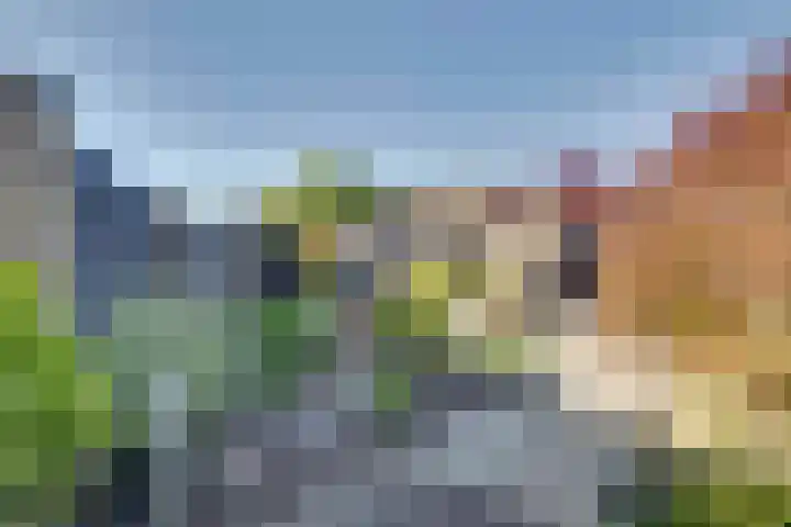 Merelstraat 3 Spaubeek thumbnail 35