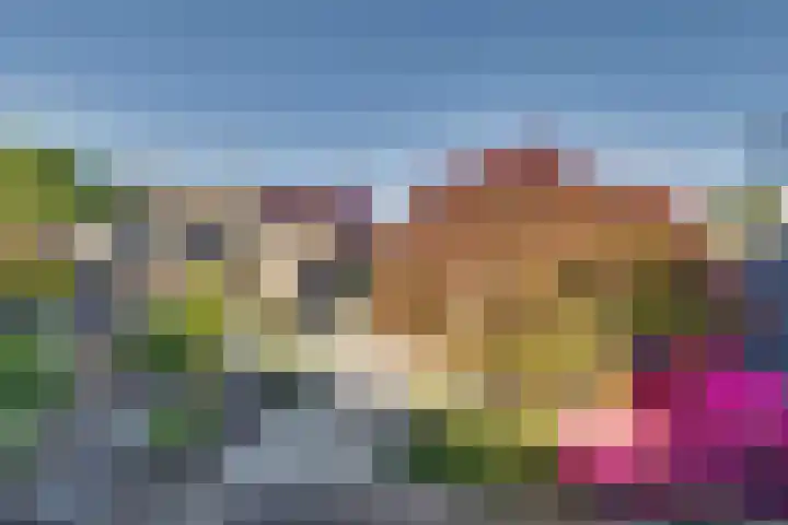 Merelstraat 3 Spaubeek thumbnail 41