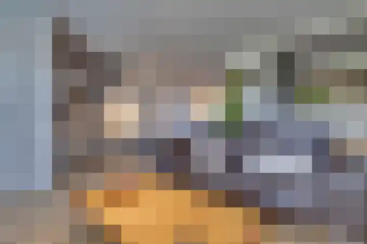 Merelstraat 3 Spaubeek thumbnail 6