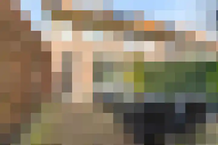 Merelstraat 32 Breda thumbnail 37