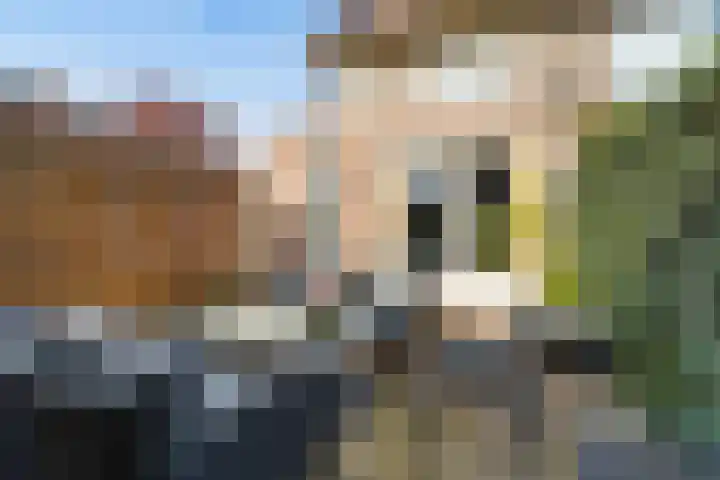 Merelstraat 32 Breda thumbnail 38