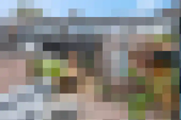 Merelstraat 32 Tiel thumbnail 5