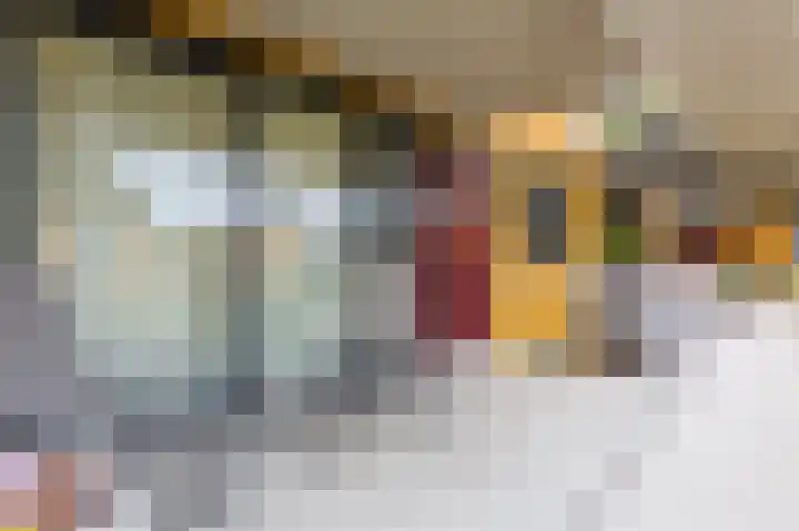 Merelstraat 34 Utrecht thumbnail 33