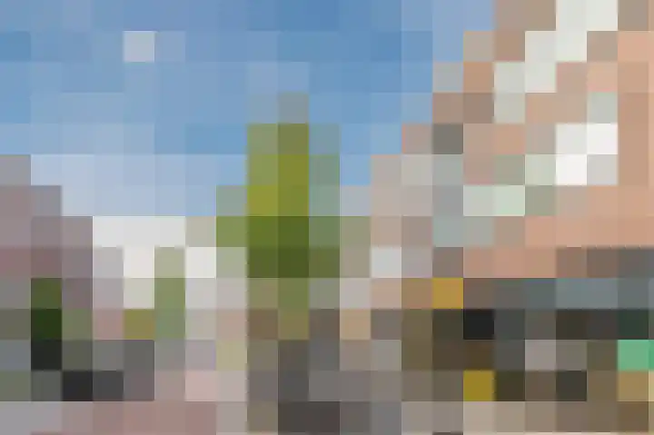 Merelstraat 34 Utrecht thumbnail 41