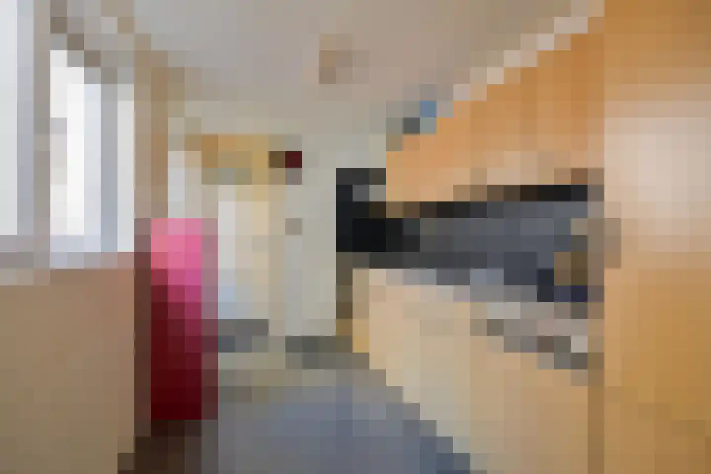 Merelstraat 36 Tilburg thumbnail 8