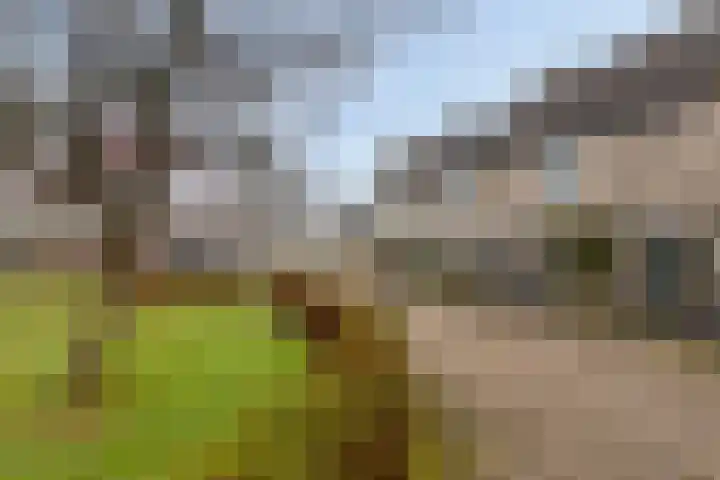 Merelstraat 4 Leiderdorp thumbnail 10