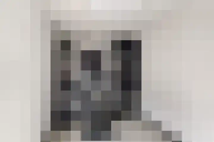 Merelstraat 4 Leiderdorp thumbnail 7