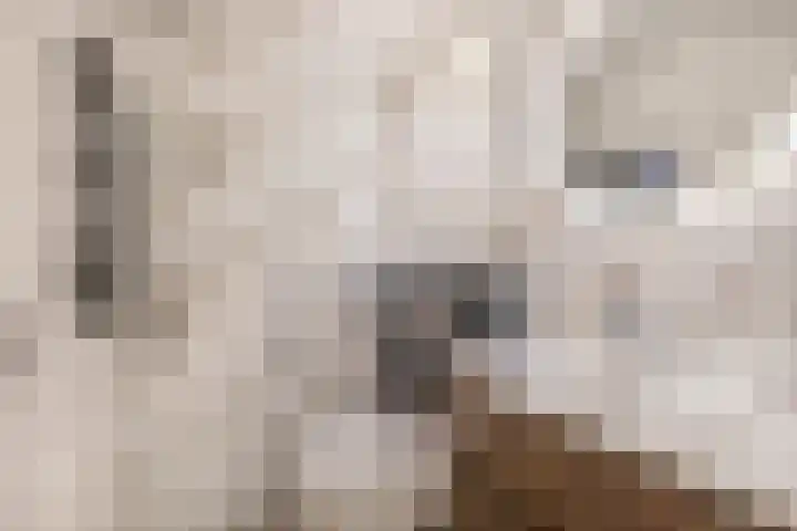 Merelstraat 4 Lopik thumbnail 22