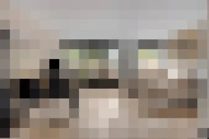 Merelstraat 41 Schagen thumbnail 8