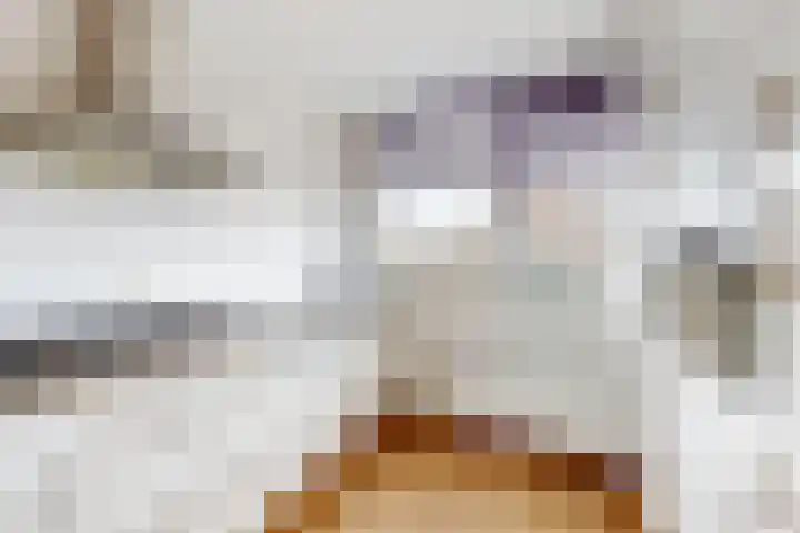 Merelstraat 42 Fijnaart thumbnail 19