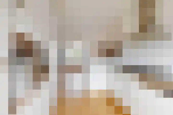 Merelstraat 42 Fijnaart thumbnail 20