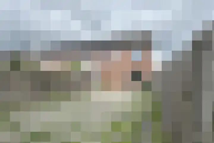 Merelstraat 42 Fijnaart thumbnail 43