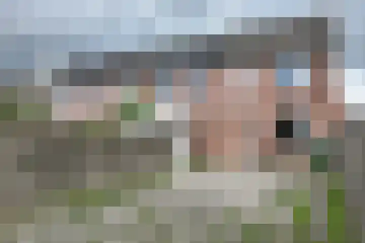 Merelstraat 42 Fijnaart thumbnail 6